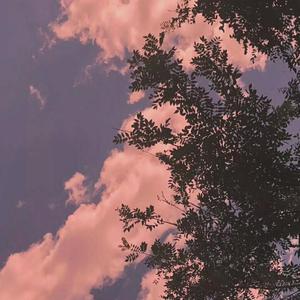 欧菜换妻性爱视频在线观看
