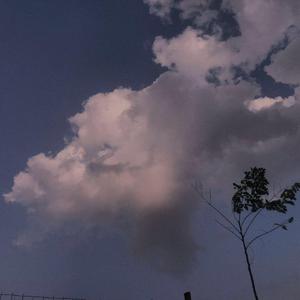 欧菜换妻性爱视频在线观看
